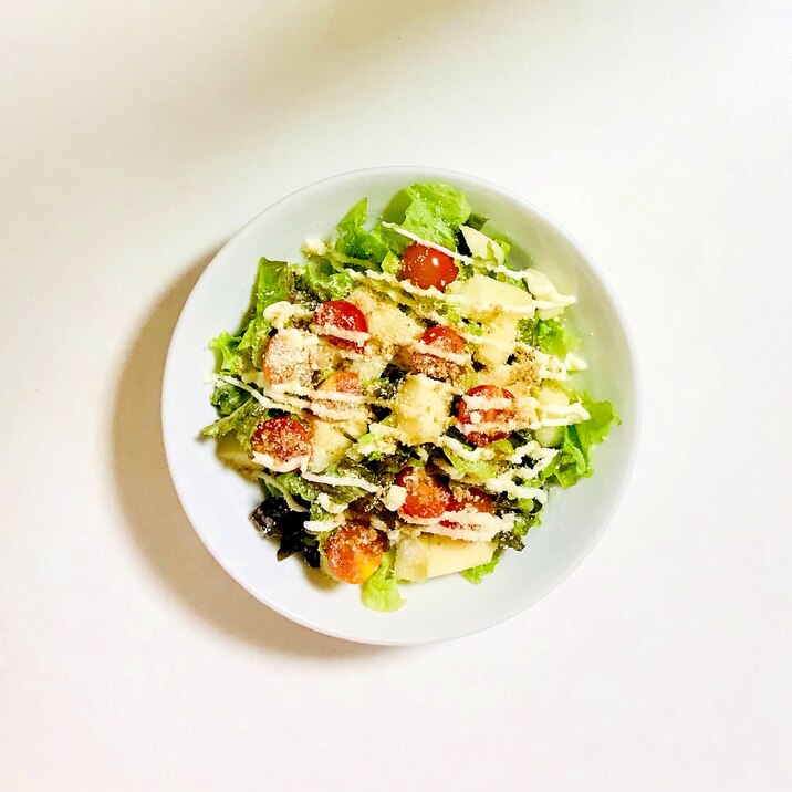 リンゴ入り生野菜サラダ レシピ 作り方 By Libre 楽天レシピ リンゴ入り生野菜サラダ レシピ 作り方 By Libre 楽天レシピ